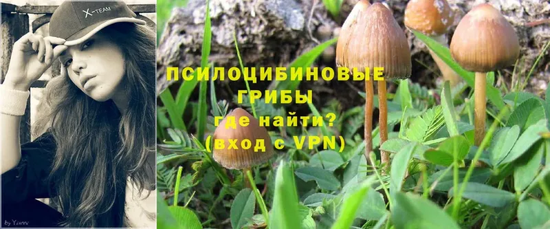 Галлюциногенные грибы MAGIC MUSHROOMS  Нарьян-Мар 